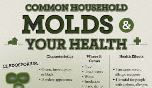 Difference Between Black Mold and Mildew