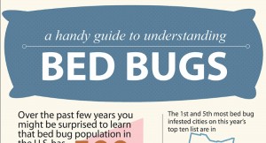 Home Remedies for Bed Bug Bites