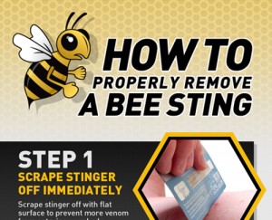bee sting remedy urine