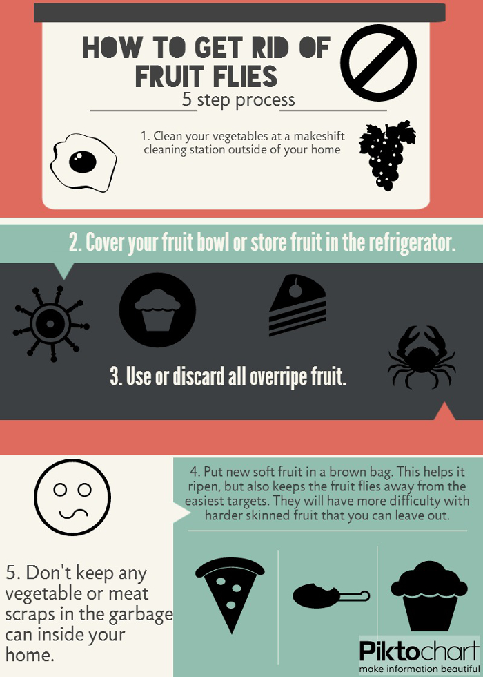 How To Get Rid Of Fruit Flies 5 Step Process