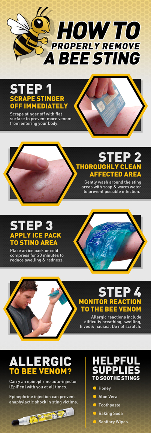 How To Properly Remove A Bee Sting