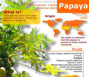 Papaya Nutritional Benefits