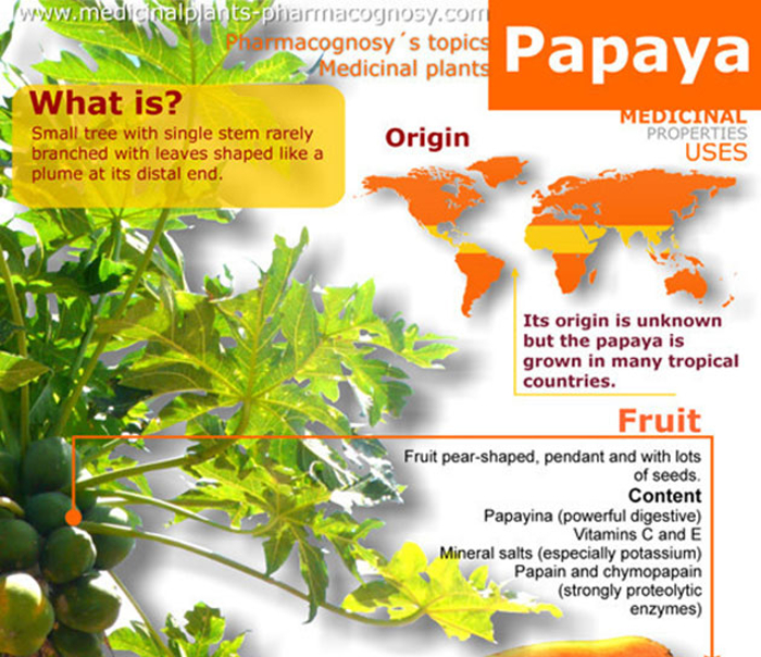 papaya-nutritional-benefits-hrf