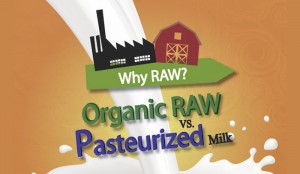 Pros and Cons of Raw Milk