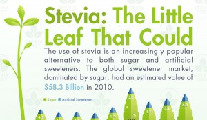 Pros and Cons of Stevia