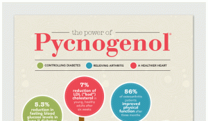 Pycnogenol Side Effects