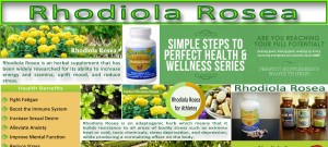 Rhodiola Rosea Side Effects