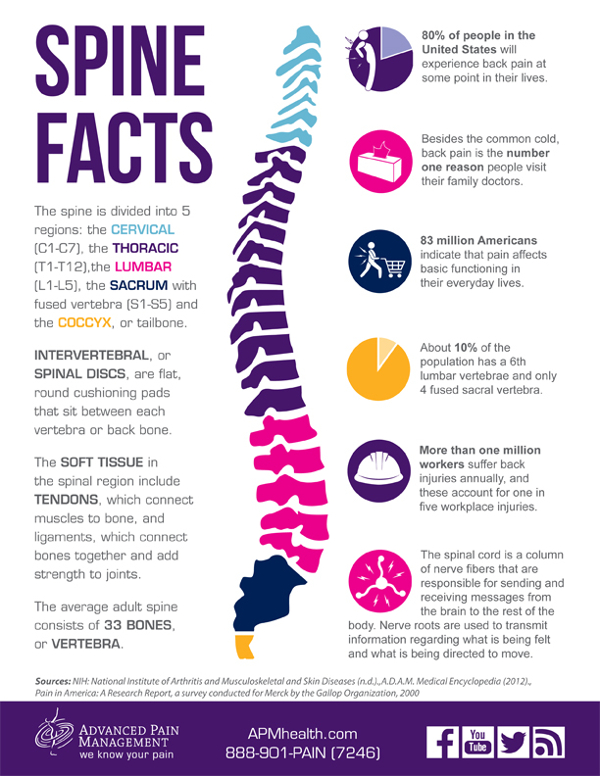 Spine Facts