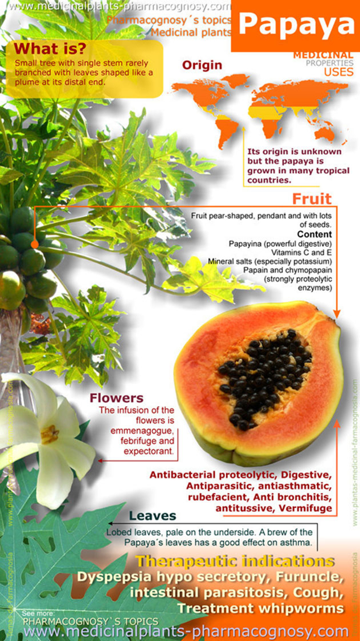 Papaya Nutritional Benefits - HRF