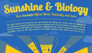 What is the Difference Between Vitamin D2 and Vitamin D3