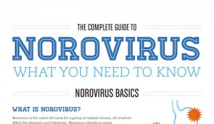 Norovirus Contagious