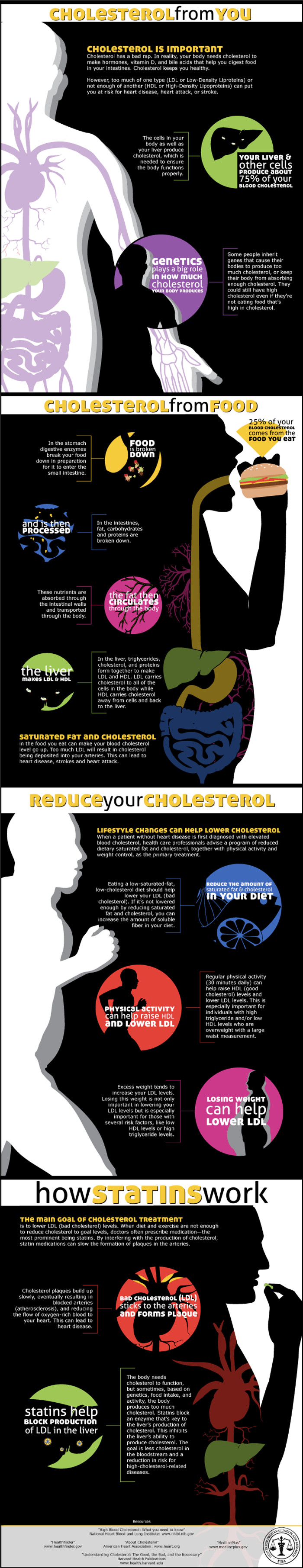 Cholesterol from You