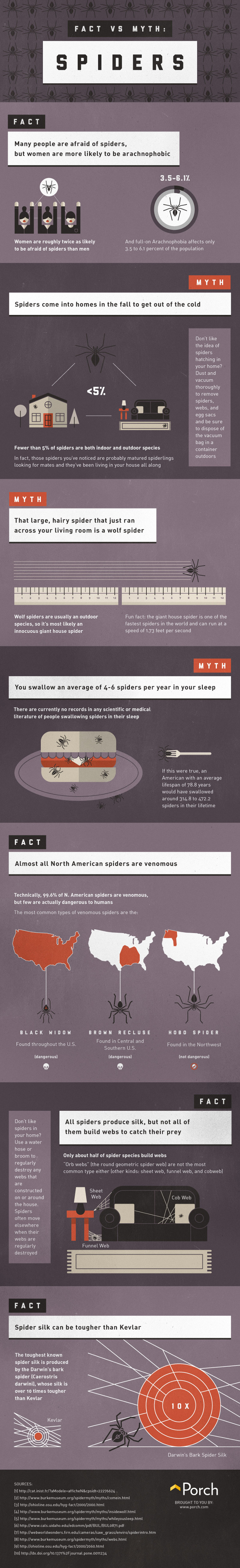 Fact Vs Myth Spiders