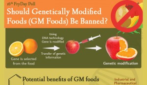 Genetically Engineered Food Pros and Cons List