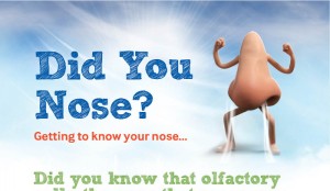 Home Remedies For Clogged Nose