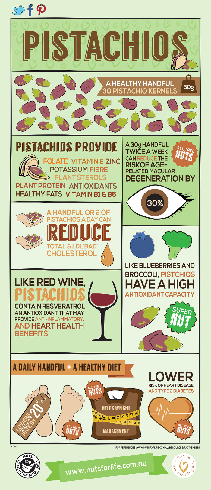 Pistachios Nutrition Information at Lois Orosco blog