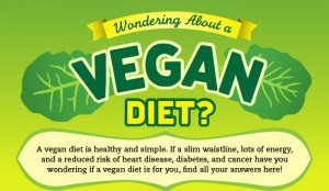 Vegan Diet Pros and Cons