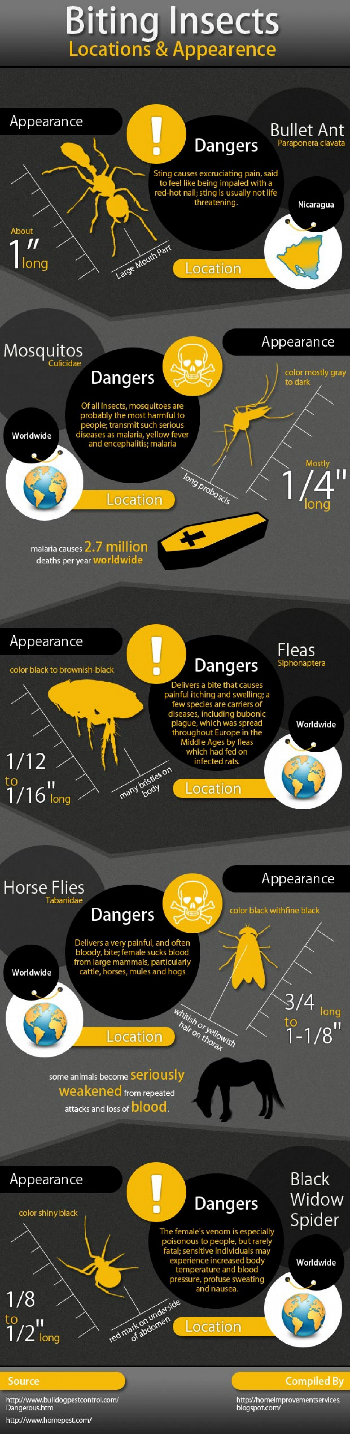 Guide to Common Bug Bites