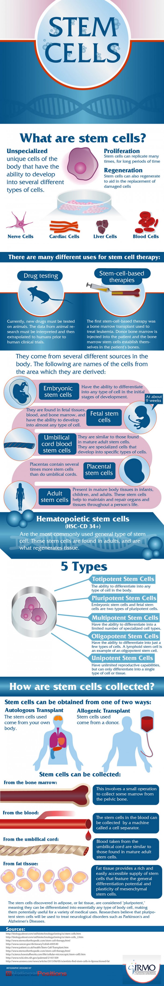 Guide to Stem Cells - HRF