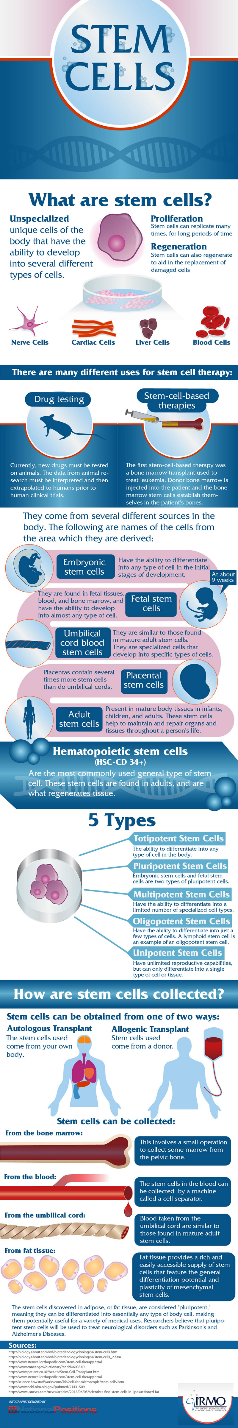 embryonic-stem-cell-research-pros-and-cons-hrf