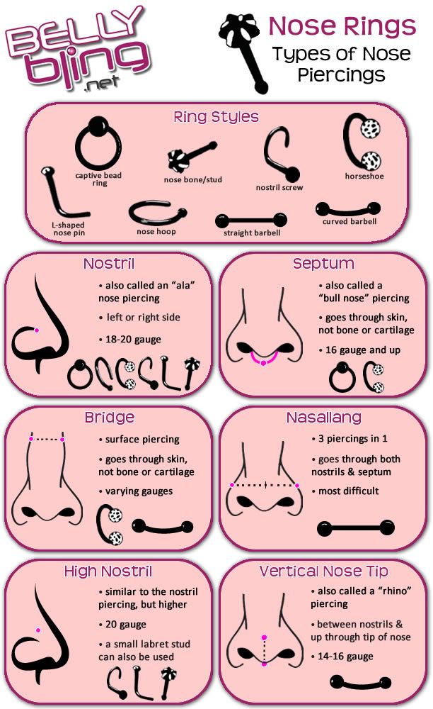 Types of Nose Piercings