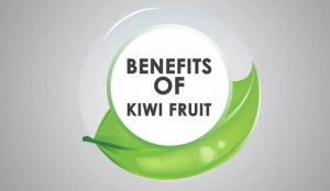 6 Interesting Facts About Kiwi Fruit