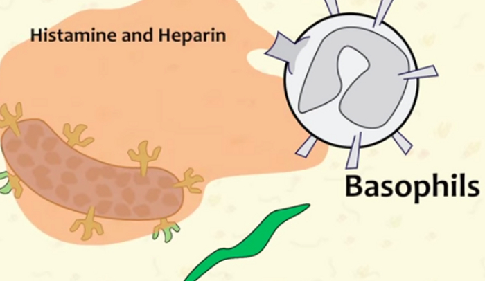 「Interesting」に関連した英語例文の一覧と使い方 - Weblio英語例文検索 visual data 2