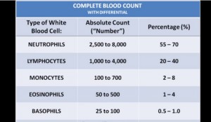 Basos Blood Test Results Interpreted