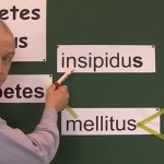 17 Fascinating Diabetes Insipidus Statistics