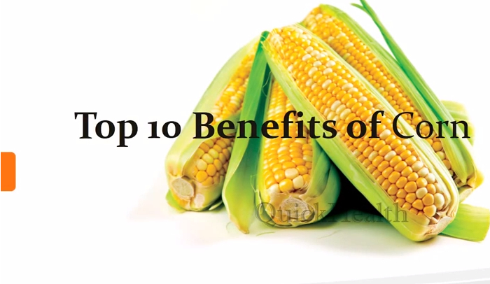 13 Pros and Cons of a Corn Based Diet - HRF