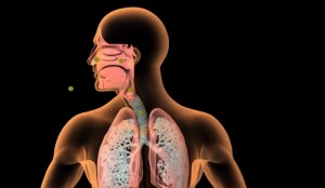 Explanation of Baso Blood Test Results