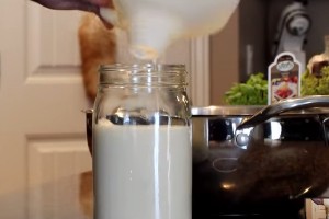 Difference Between Heavy Cream and Milk