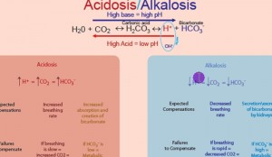 Understanding the Anion Gap Blood Test Results