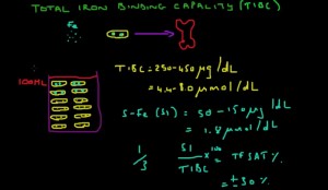 Understanding the TIBC Blood Test Results