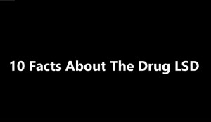 Understanding the LSD Blood Test Results