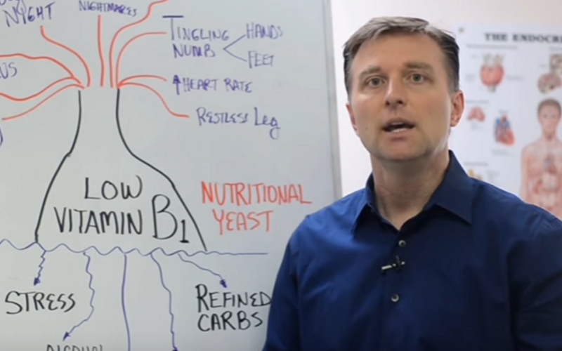 Thiamine Blood Test Results Explained HRFnd