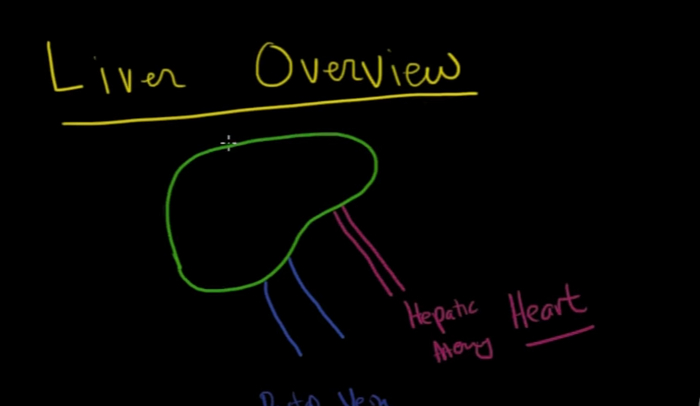 understanding-the-alt-ast-blood-test-results-hrf