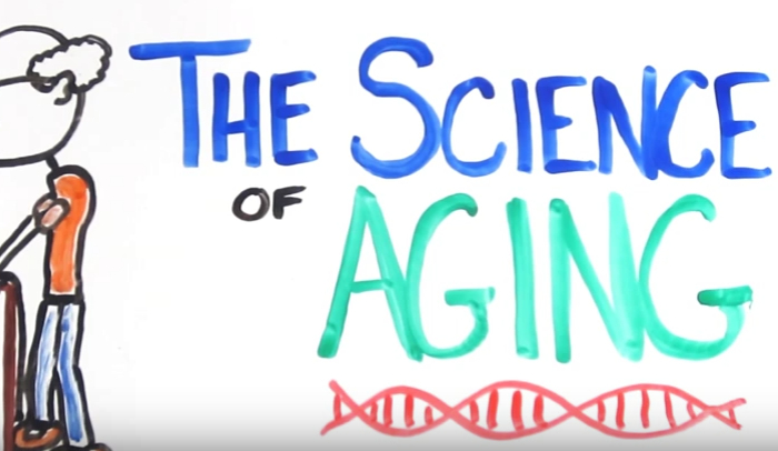 according to the activity theory of aging